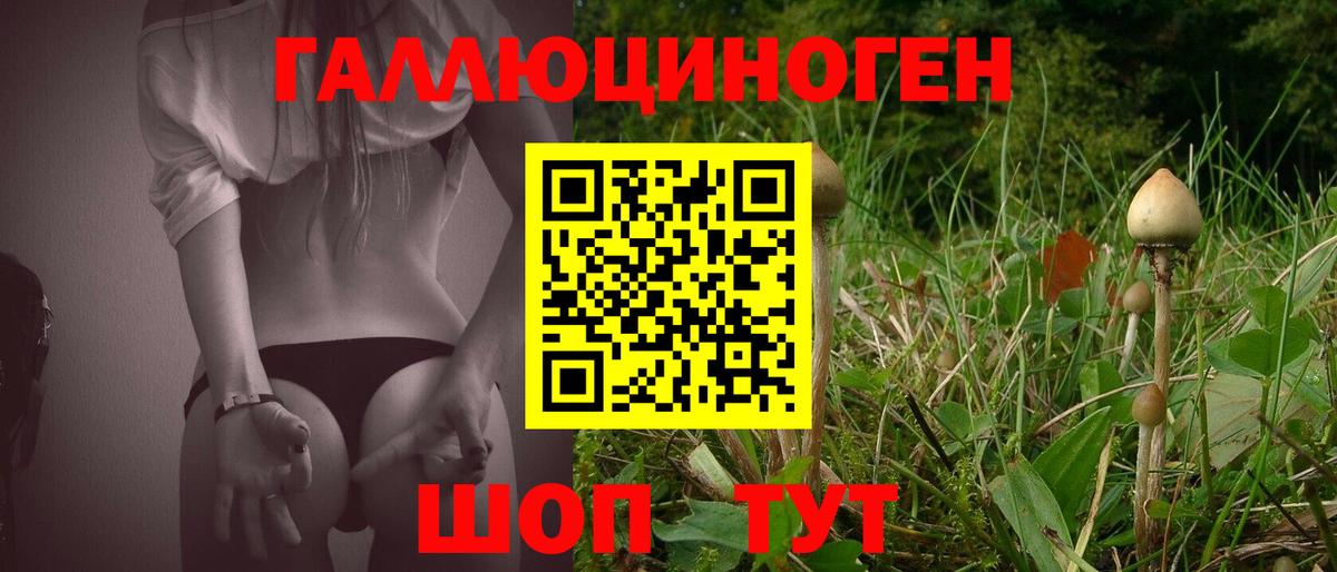 Псилоцибиновые грибы Cubensis  Псилоцибиновые грибы Psilocybe  Лесной  Вход с VPN 