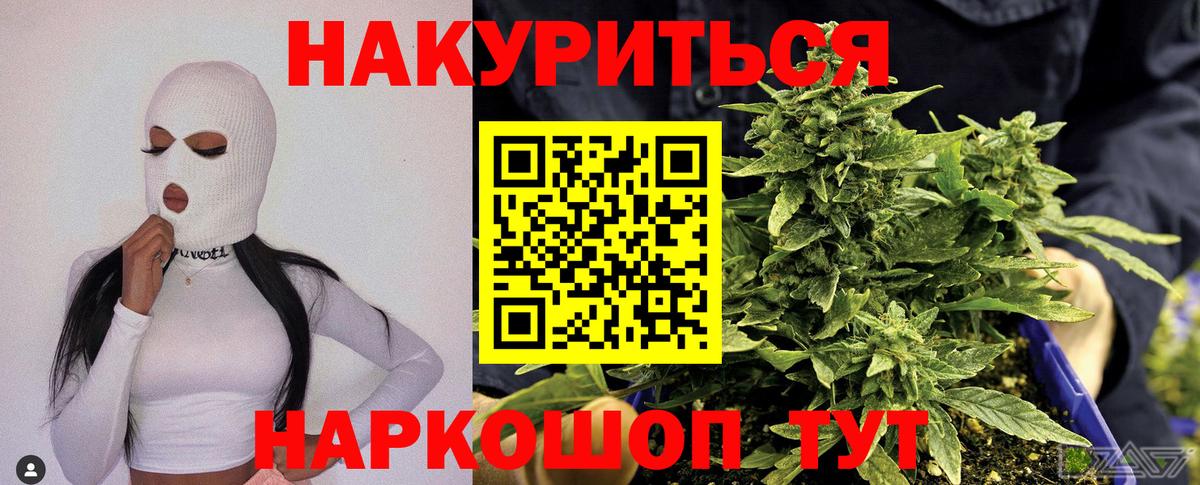 Канабис планчик Лесной